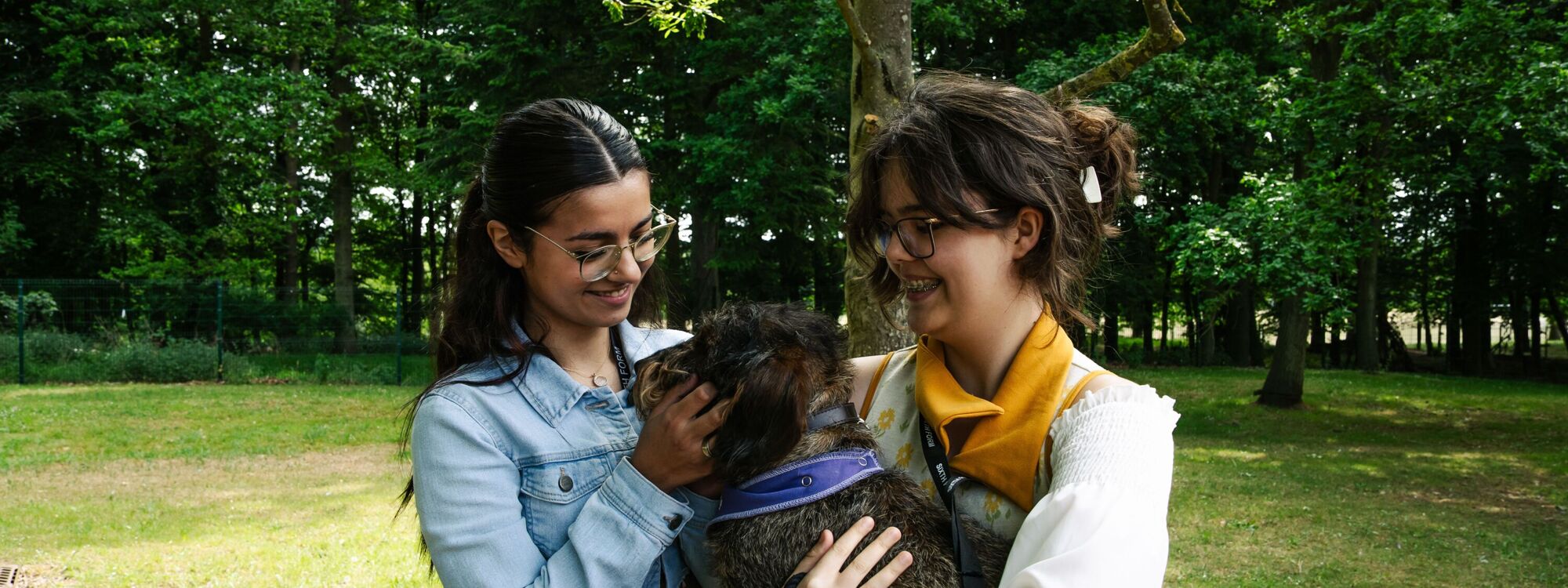 Support   Well being